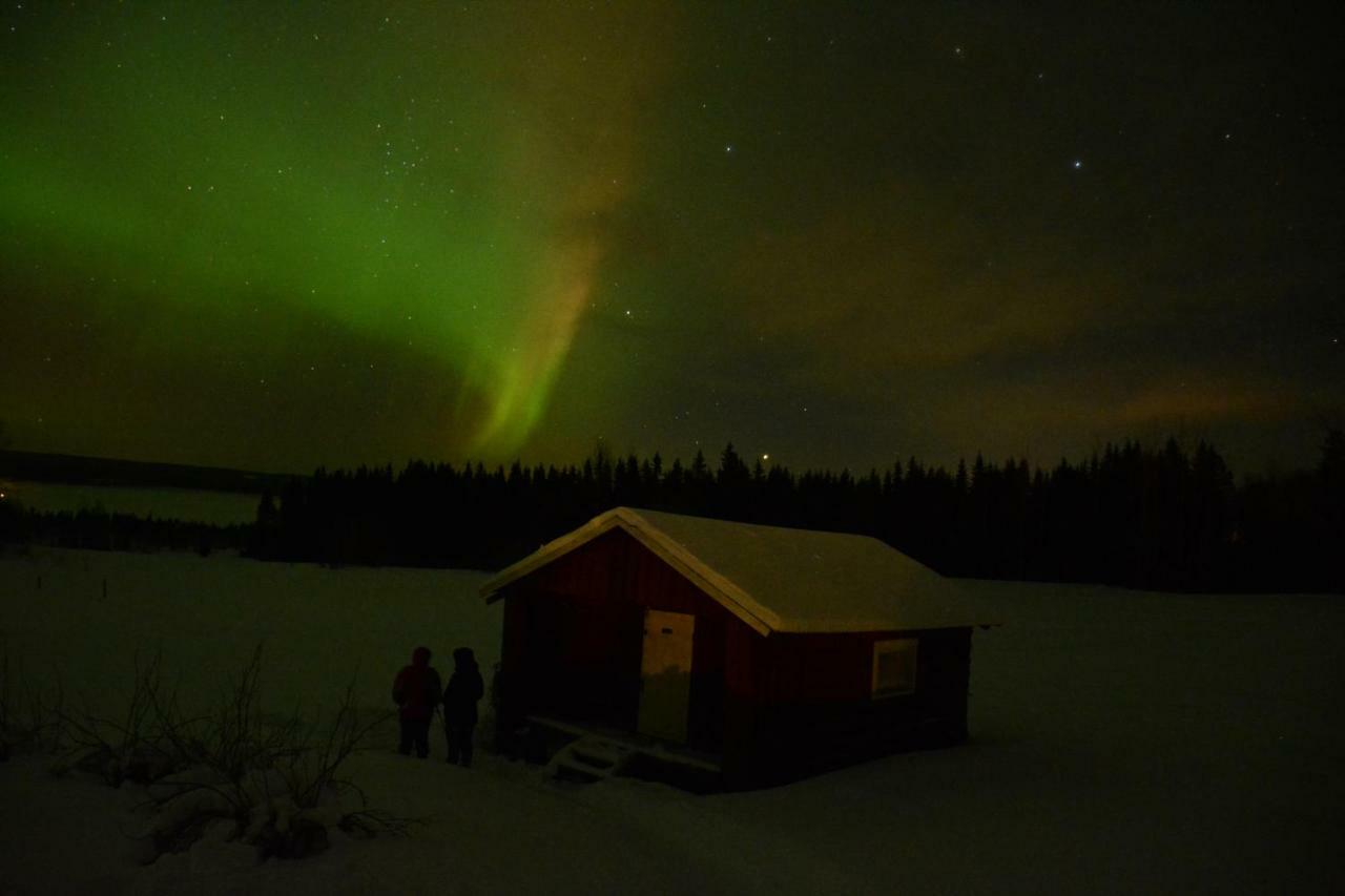Nedre Lillviken Lillvikens Gaesthuset Och Stugor المظهر الخارجي الصورة
